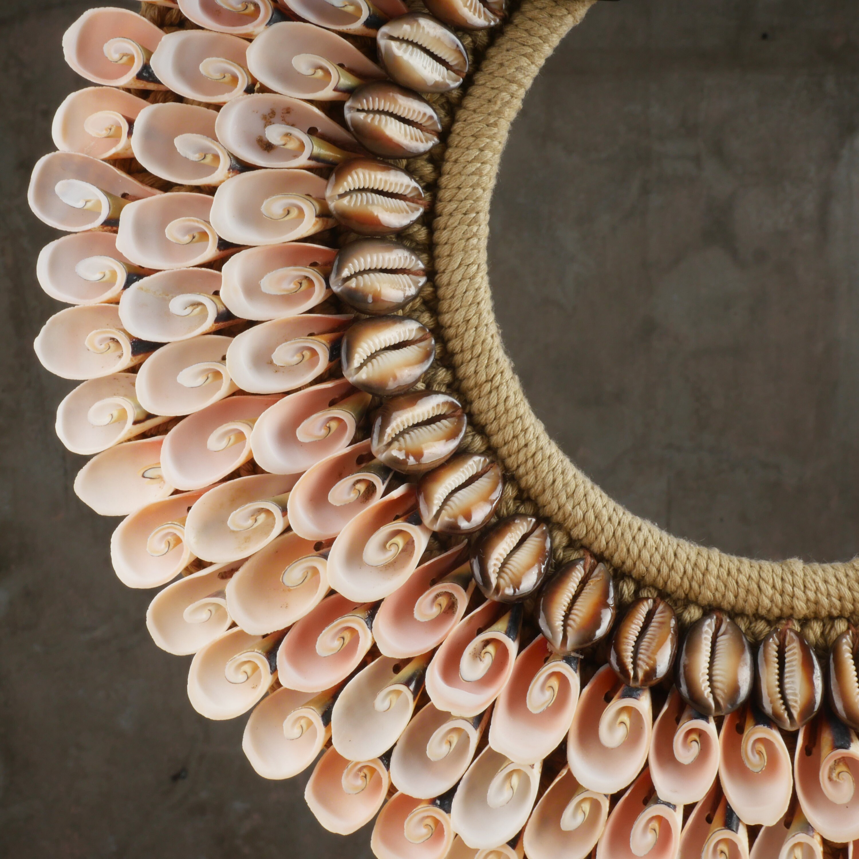 Pink Conch Shell Necklace: Decorative Cowrie Shell Hoop - Etsy