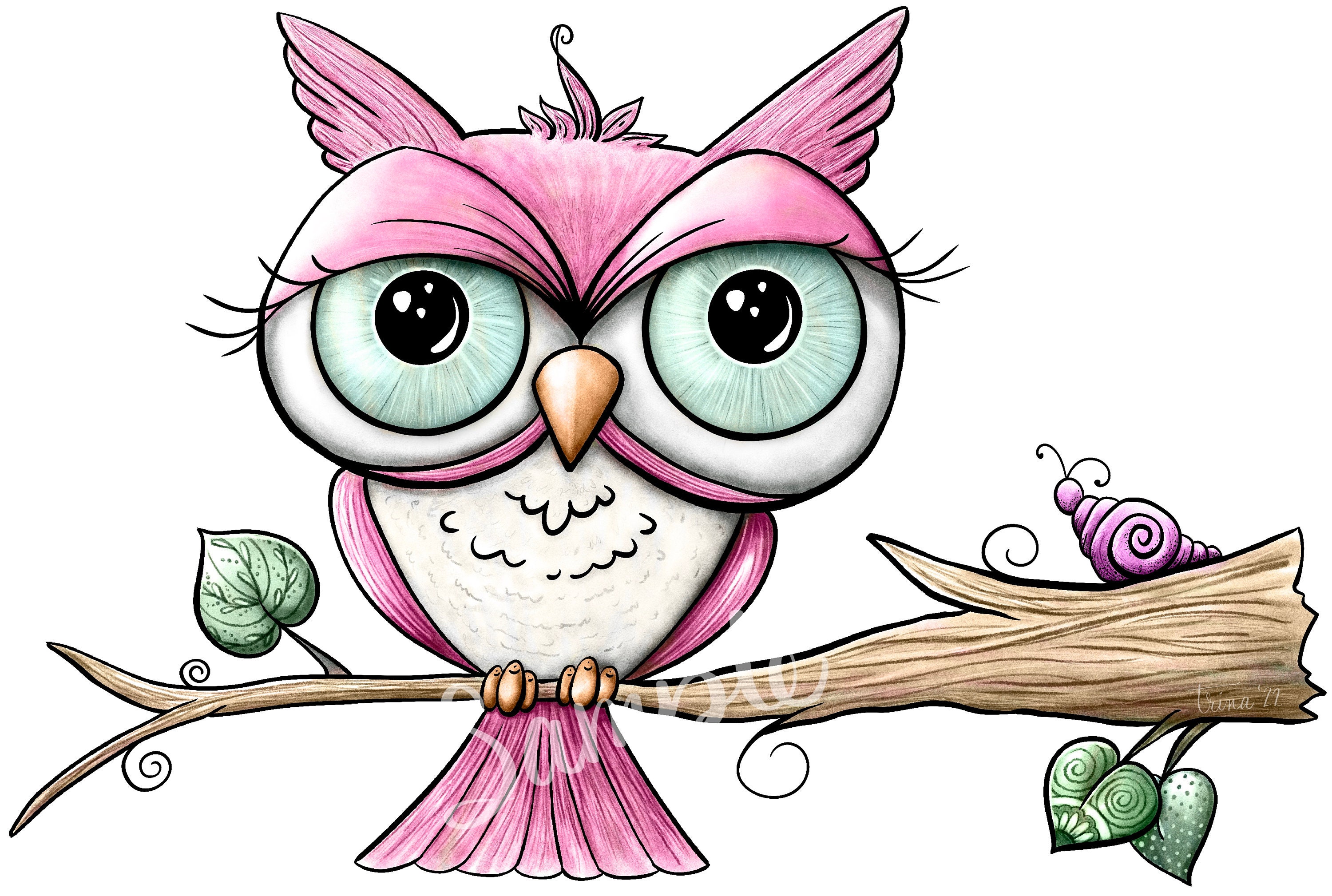 February Owl in Color PNG Clipart Commercial Use Instant - Etsy UK