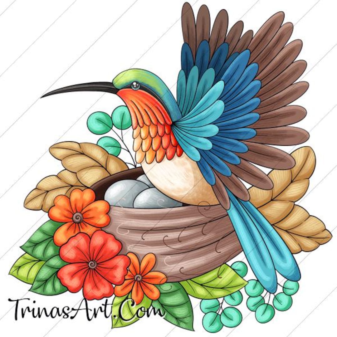Hummingbird Nest & Eggs, Flowers, Florals PNG Clipart Commercial Use