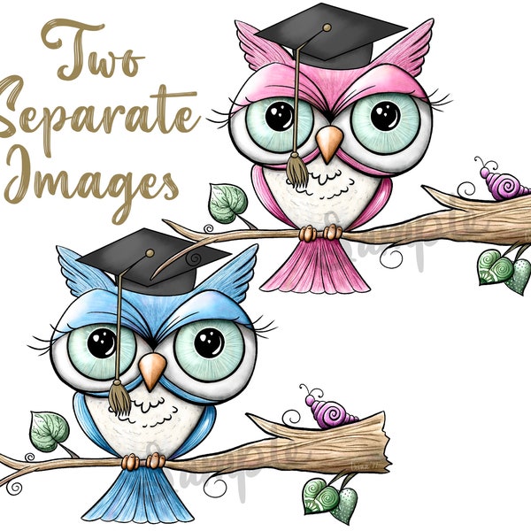 Graduation Owls Boy and Girl Blue and Pink  - PNG Clipart Commercial Use Instant Digital Download Dye Sublimation