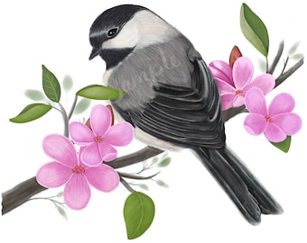 Chickadee and Apple Blossoms  - PNG Clipart Commercial Use Instant Digital Download Dye Sublimation