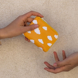 Cartera con nubes