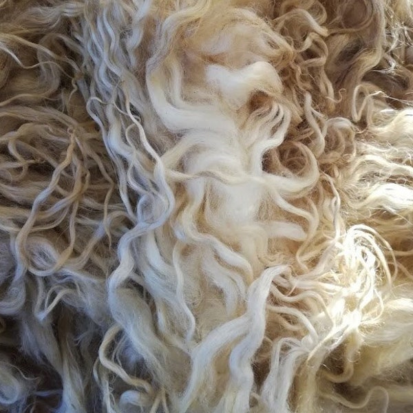 Rare breed Racka fleece – 970g. Raw sheep wool for felting, spinning, weaving