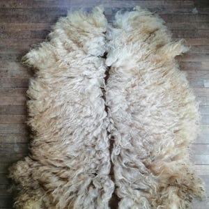 Rare breed Racka wool – 1,5 kg split fleece. Raw sheep wool for felting, spinning, weaving