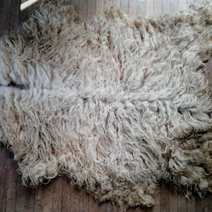 Peut inclure: Un grand tapis en peau de mouton blanc cassé doté de fibres de laine longues, bouclées et texturées. La peau naturelle présente une forme organique irrégulière avec un aspect dense et hirsute, aux tons crème et beige clair.