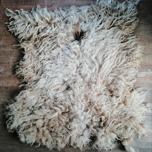 Può includere: Un tappeto in pelle di pecora color crema con una texture spessa e riccia. Il tappeto ha una forma naturale e irregolare e diverse sfumature di crema e marrone chiaro. Le fibre di lana sono dense e creano un aspetto morbido e invitante.