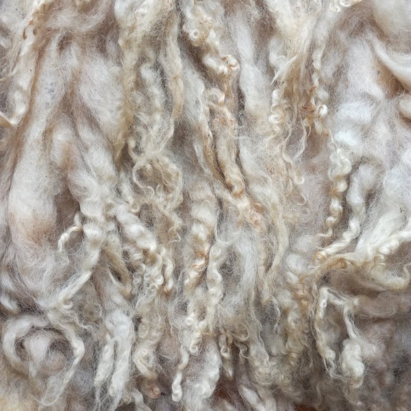 Rare breed Racka lambs fleece - 500g. Raw lamb wool for felting, spinning, weaving