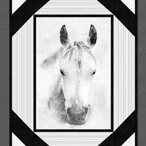 May include: A black and white photograph of a white horse's head and neck, framed in a black and white geometric pattern.
