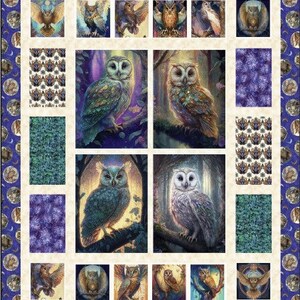 Op de afbeelding: Een quiltblok met verschillende afbeeldingen van uilen. De uilen zijn afgebeeld in verschillende poses en kleuren, waaronder bruin, wit en groen. Het quiltblok is omgeven door een rand van blauwe en witte cirkels.