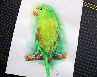 Wildlife Wall Art For Living Room Parakeet Painting Nature Art Entryway Wall Decor Gift For Friend