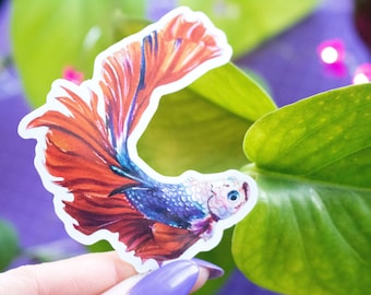 Betta Fish Sticker Vinyl Sticker Gift Sticker Gift for Animal Lover Gift For Friend Waterproof Vinyl sticker Holographic Sticker