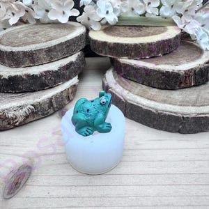 TINY 3D FROG handmade silicone mold for fondant-Resin-crafts-Jewelry making-candy-Clay-plaster-wild animals-chocolate-craft supplies.