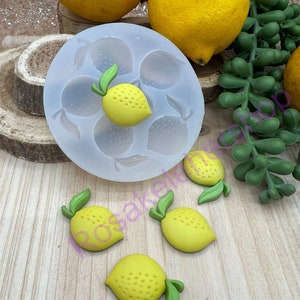 Lemon fruit-food silicone mold for Fondant-Resin-polymer Clay-Candy-Jewelry-Handcrafts-wax-soap inserts-chocolate-handmade molds.