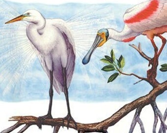 Shorebirds in the Mangroves, Masterworks Limited Edition Print On Canvas by Flick Ford, shorebirds, mangroves, FREE SHIPPING!