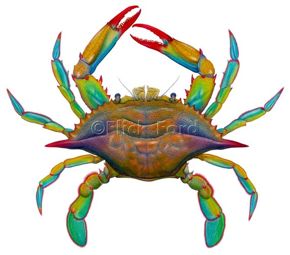 Masterworks Canvas POP ART Maryland Blue Crab by Flick Ford