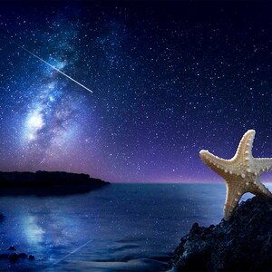 May include: A starfish on a rocky shore under a night sky with the Milky Way galaxy visible. The sky is dark blue with many stars.