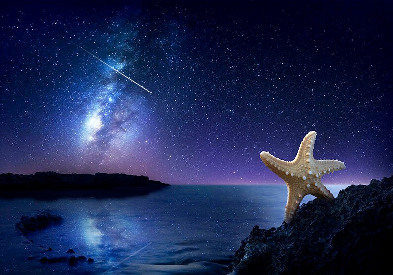 May include: A starfish on a rocky shore under a night sky with the Milky Way galaxy visible. The sky is dark blue with many stars.