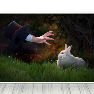 May include: A white rabbit sits in a grassy field, looking up at a hand reaching out from a top hat. The hand is wearing a brown and white striped sleeve.