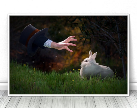 Magic bunny hat print, rabbit, Fine art decor, living room photograph, cool posters, fits Ikea, Creative photography wall art