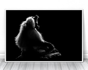 Creative Baboon monkey Print, Black and white animal fine art photography, Living room wall decor, Studio sketch poster, Wild nature photo