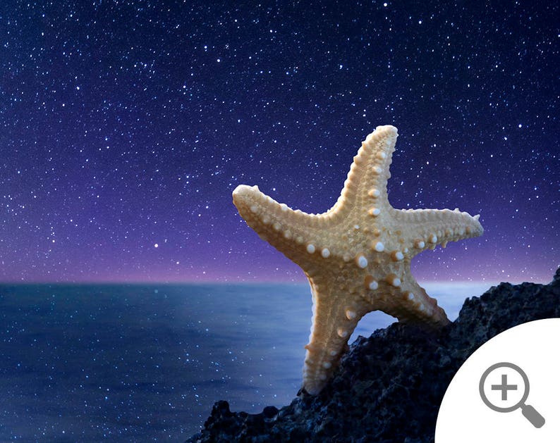 May include: A white starfish on a dark rocky surface with a starry night sky and a dark blue ocean in the background.
