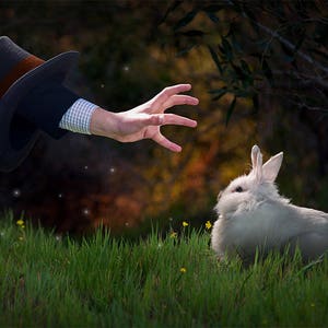 May include: A white rabbit sits in a grassy field, looking up at a hand reaching out from a top hat. The hand is wearing a checkered shirt sleeve.