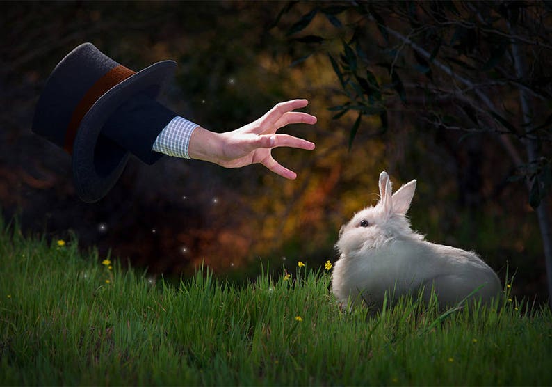May include: A white rabbit sits in a grassy field, looking up at a hand reaching out from a top hat. The hand is wearing a checkered shirt sleeve.