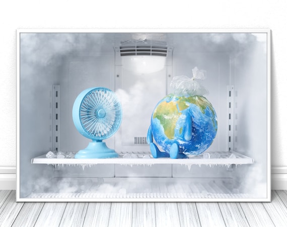 Fridge globe new arrivals