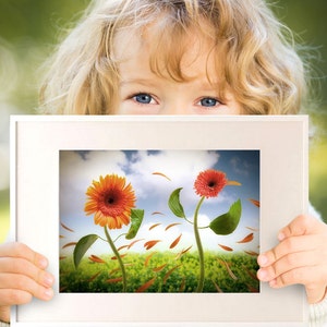 May include: A white picture frame with a photo of two orange and red flowers with green leaves and stems. The flowers are in a field with orange and brown petals blowing in the wind.