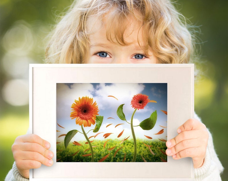 May include: A white picture frame with a photo of two orange and red flowers with green leaves and stems. The flowers are in a field with orange and brown petals blowing in the wind.