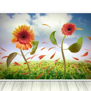 May include: A painting of two flowers, a yellow and orange sunflower and a red gerbera daisy, with green leaves and petals blowing in the wind against a blue sky with white clouds.