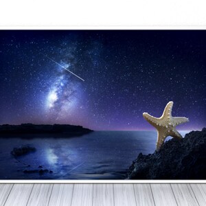 May include: A starfish sits on a rocky shore under a night sky filled with stars and a shooting star. The ocean is calm and reflects the stars.