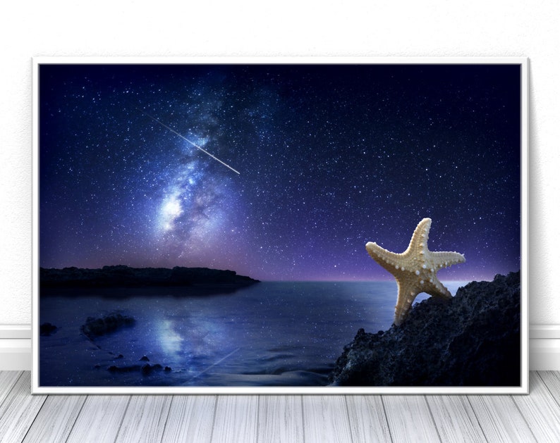 May include: A starfish sits on a rocky shore under a night sky filled with stars and a shooting star. The ocean is calm and reflects the stars.