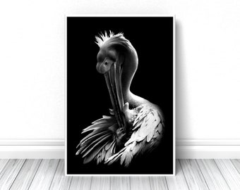 Creative Pelican Print, Black and white animal fine art photography, Living room wall decor, Studio sketch poster, Wild nature photo