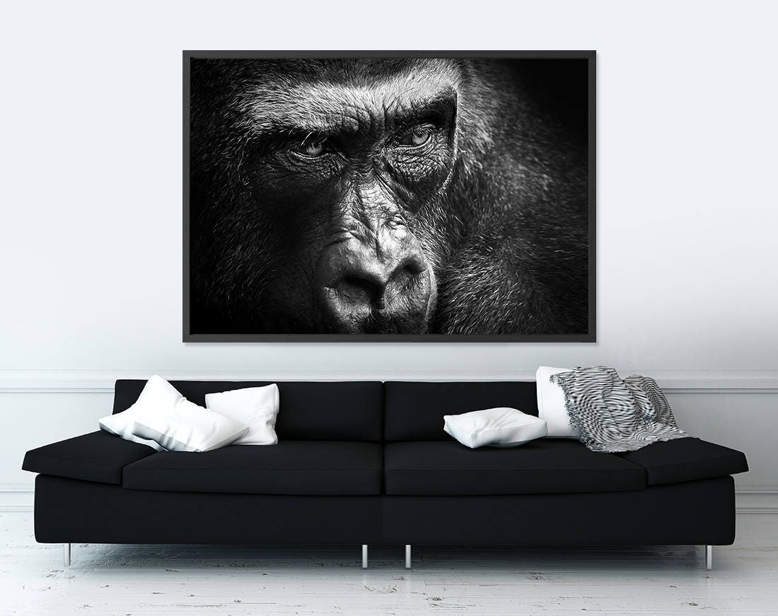 Creative Gorilla Print Black and White Animal Fine Art - Etsy