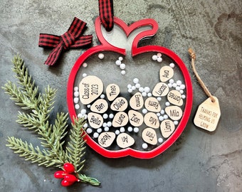 Personalized Apple Teacher Christmas Ornament, 4D Shaker Gifts