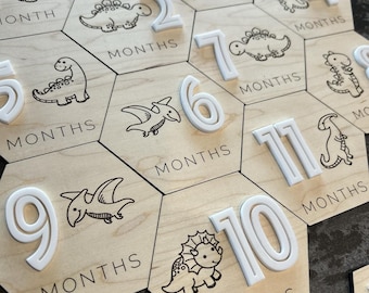 Dinosaur Monthly Milestone Discs: Baby Photo Prop, Birch Wood