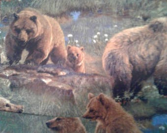 Grizzly Bears Cotton Fabric By The Yard