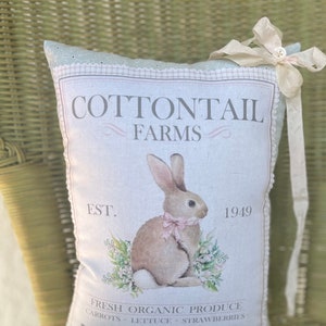 Bunny Pillow, Small Easter Pillow, Shabby Spring Pillow, Shelf Sitter Bunny Pillow, Cottontail Bunny Organic Farms