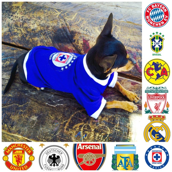 cruz azul dog jersey