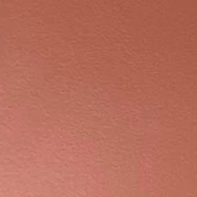 May include: A solid, textured surface in a muted, reddish-orange hue. The color is reminiscent of terracotta or a warm, earthy tone. The surface appears to have a subtle, granular texture.