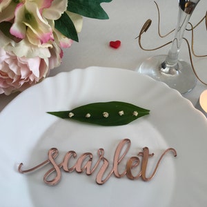 Rose gold mirror Laser cut guest names Place setting Personalized acrylic signs Table wedding plate name Escort place cards Calligraphy tags image 7