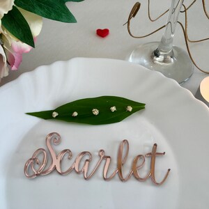 Rose gold mirror Laser cut guest names Place setting Personalized acrylic signs Table wedding plate name Escort place cards Calligraphy tags image 5