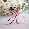 Wedding Place Cards, Personalized Name Place Settings, Custom Table Signs & Birthday Decorations product logo