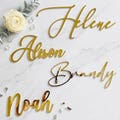 Custom Name Plate for Birthday Cake Topper, Personalized Cake Charm, 4 Font Styles Available product logo