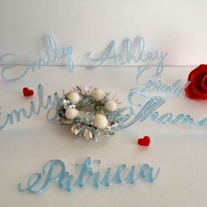 Peut inclure: D&eacute;coupes de pr&eacute;noms en acrylique bleu clair avec les noms Emily, Ashley, Gerald, Thomas et Patricia. Une petite couronne en guirlande argent&eacute;e avec des pompons blancs et deux petits c&oelig;urs rouges accompagnent une rose rouge.