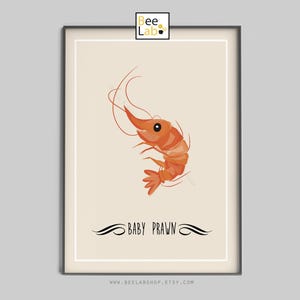 Garnele Kunstdruck Poster | Niedliche Garnelen Illustration | Fisch Küche Dekor, Meeres Küche, Restaurant Wand Kunst, Wohn Dekor | N36