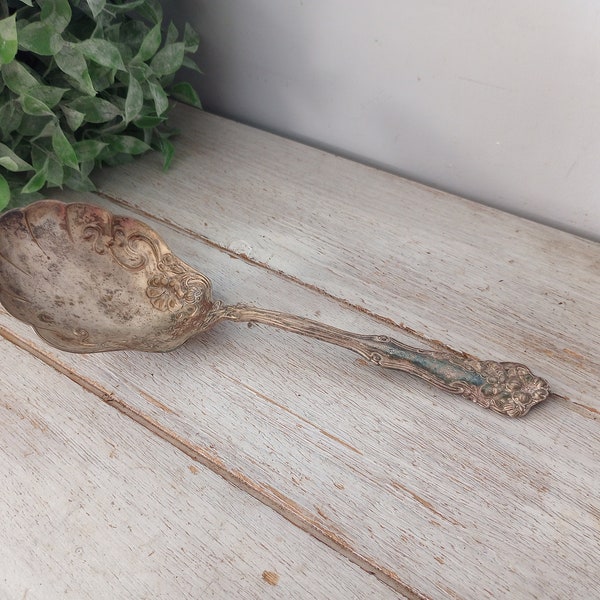 Antique Wm Rogers Silver Plate Berwick Shell Berry Spoon Circa 1904 Shabby Chic