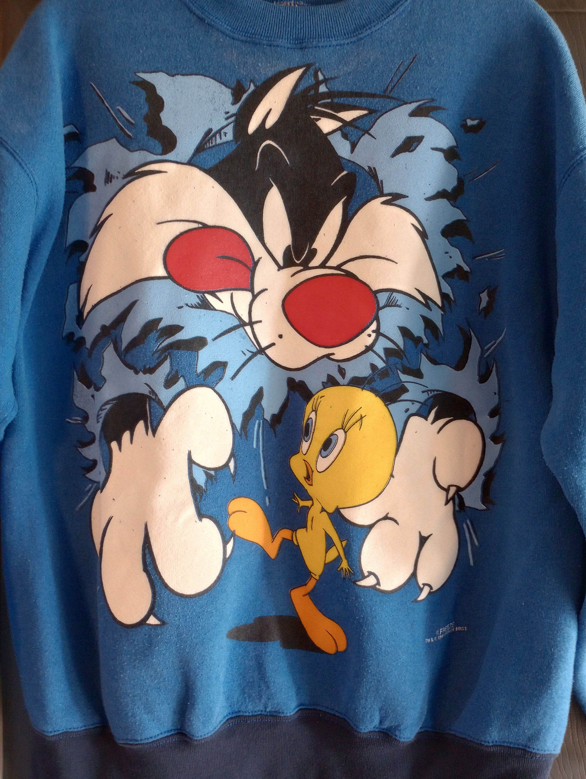 Looney Tunes 90s Sylvester the Cat Tweety Bird Sweater VTG Grail