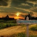 Country Road Vintage